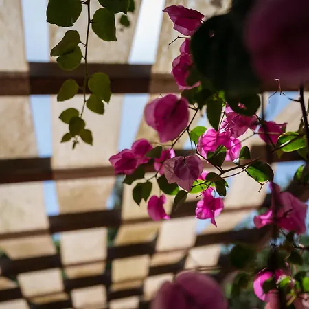 Апартаменты Franz's House - Connie's Heritage Чефалу