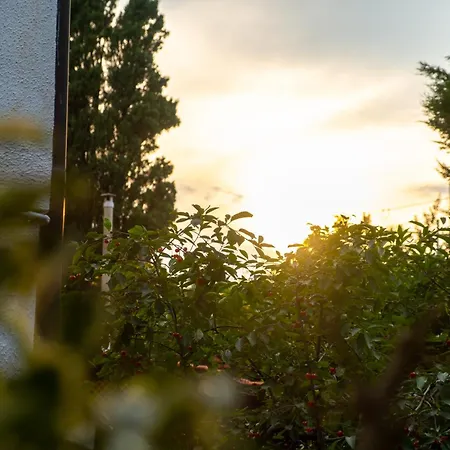 Franz's House - Connie's Heritage Чефалу