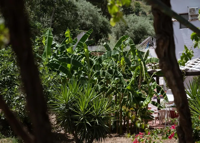 Franz's House - Connie's Heritage Appartamento