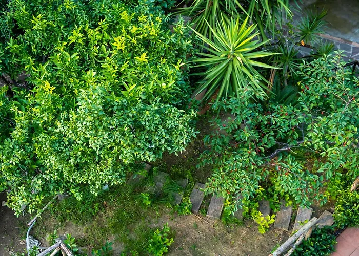 Franz's House - Connie's Heritage Appartamento *