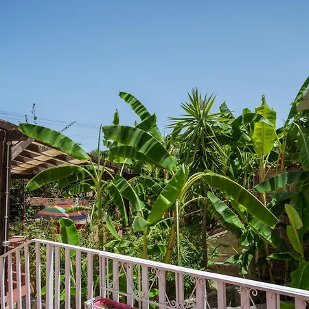 Franz's House - Connie's Heritage *