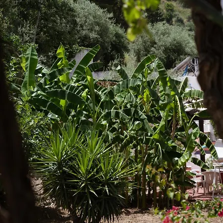 Franz's House - Connie's Heritage Apartament