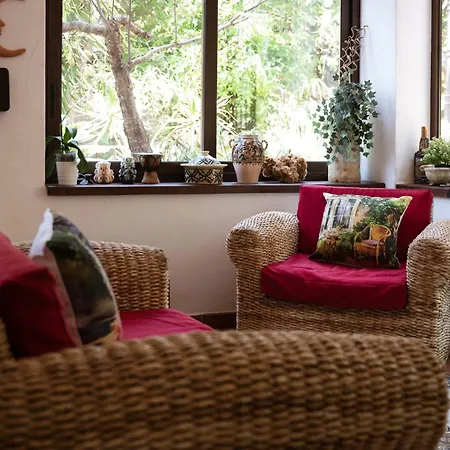 Apartament Franz's House - Connie's Heritage