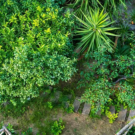 Franz's House - Connie's Heritage Apartament *