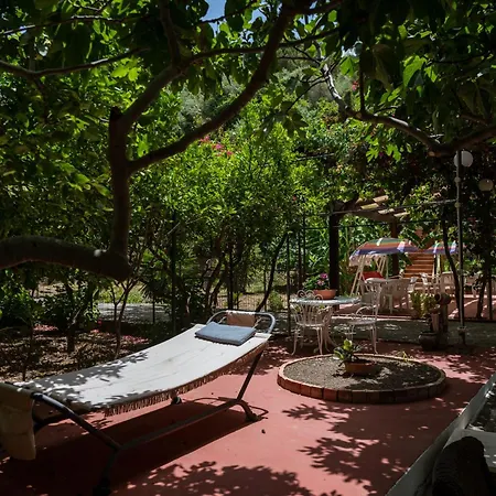 Franz's House - Connie's Heritage