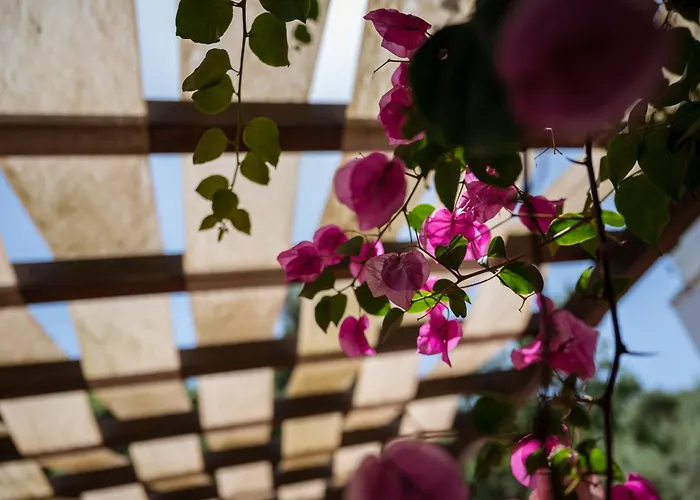 Apartman Franz's House - Connie's Heritage Cefalù